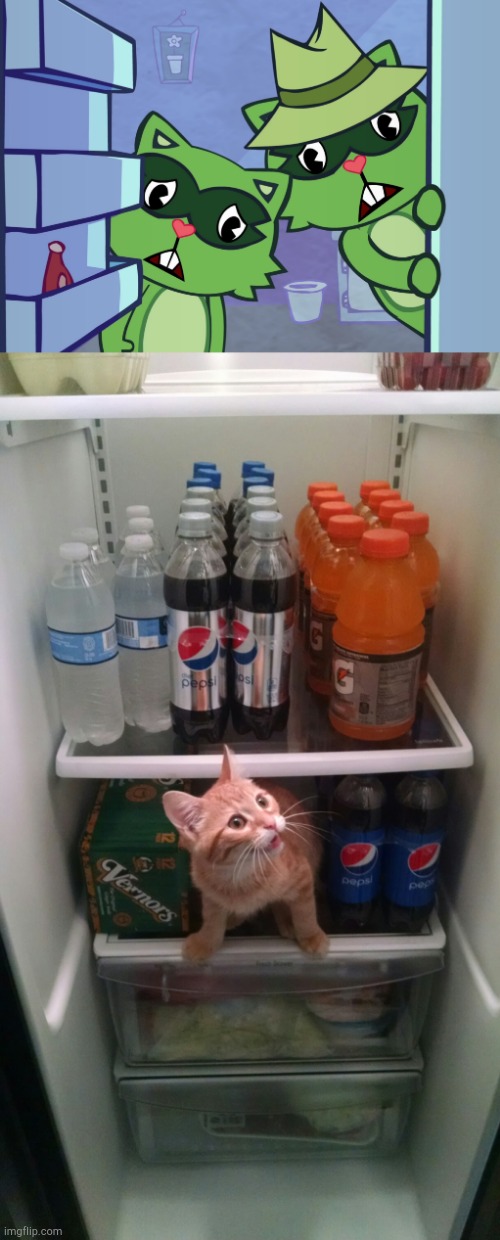 Everyone loves kittens! | image tagged in fridge kitty,lifty shifty awwwww htf | made w/ Imgflip meme maker