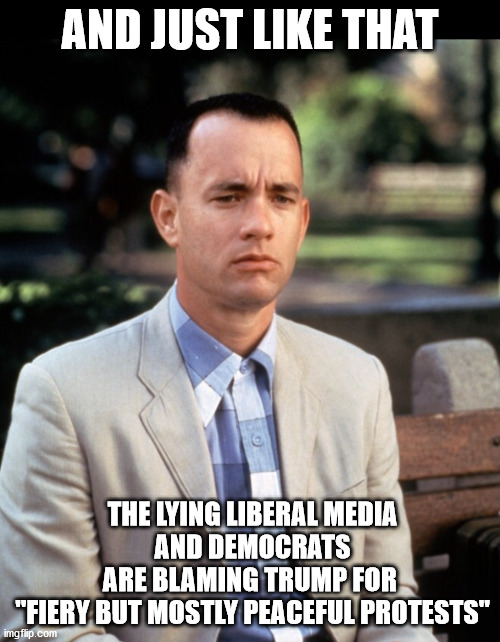 And...Just like that | AND JUST LIKE THAT; THE LYING LIBERAL MEDIA
 AND DEMOCRATS 
ARE BLAMING TRUMP FOR 
"FIERY BUT MOSTLY PEACEFUL PROTESTS" | image tagged in and just like that,msm lies,cnn fake news,democrats | made w/ Imgflip meme maker