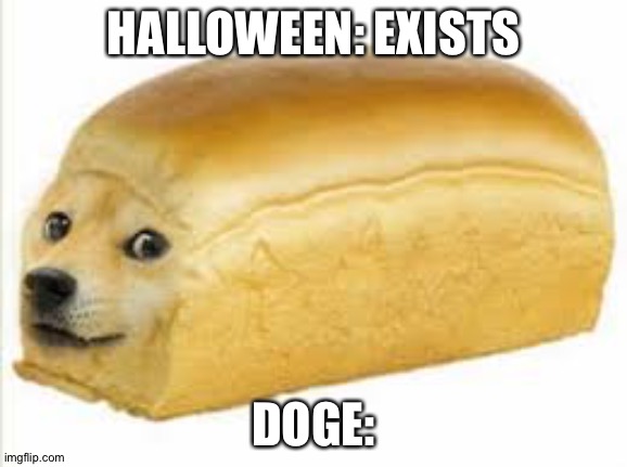 Doge bread |  HALLOWEEN: EXISTS; DOGE: | image tagged in doge bread | made w/ Imgflip meme maker