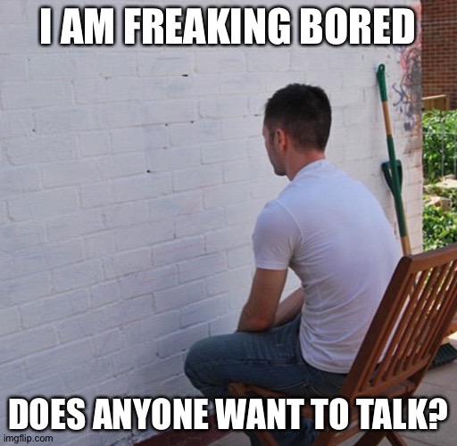 Bored | I AM FREAKING BORED; DOES ANYONE WANT TO TALK? | image tagged in bored | made w/ Imgflip meme maker