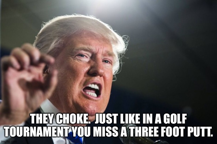 donald trump | THEY CHOKE.  JUST LIKE IN A GOLF TOURNAMENT YOU MISS A THREE FOOT PUTT. | image tagged in donald trump | made w/ Imgflip meme maker