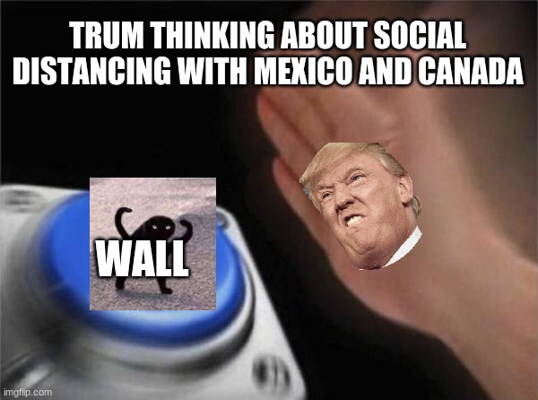 Trump's way of social distancing | TRUM THINKING ABOUT SOCIAL DISTANCING WITH MEXICO AND CANADA; WALL | image tagged in memes,blank nut button | made w/ Imgflip meme maker