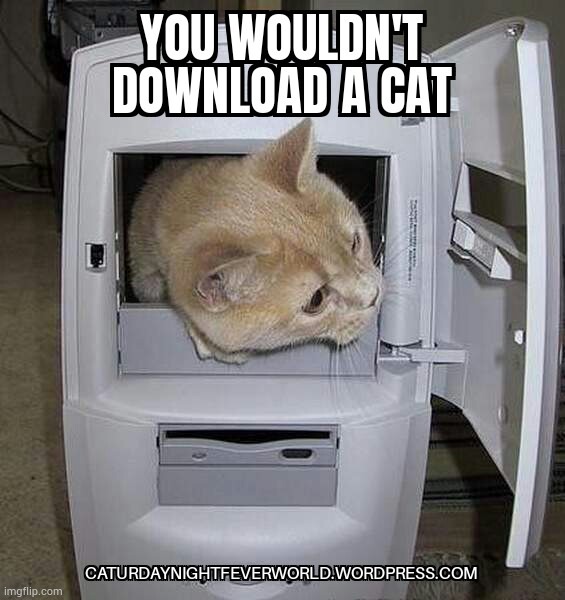 You wouldn't download a cat | image tagged in cats,cat,funny cats,funny cat memes,cat memes | made w/ Imgflip meme maker