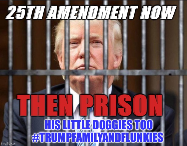 Trump is not well | 25TH AMENDMENT NOW; THEN PRISON; HIS LITTLE DOGGIES TOO


#TRUMPFAMILYANDFLUNKIES | image tagged in boardroom meeting suggestion,politics,donald trump,political meme,the scroll of truth | made w/ Imgflip meme maker
