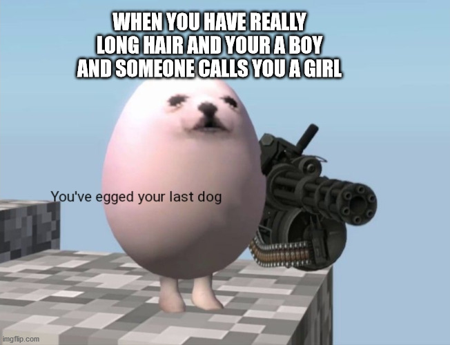You've Egged Your Last Dog | WHEN YOU HAVE REALLY LONG HAIR AND YOUR A BOY AND SOMEONE CALLS YOU A GIRL | image tagged in you've egged your last dog | made w/ Imgflip meme maker
