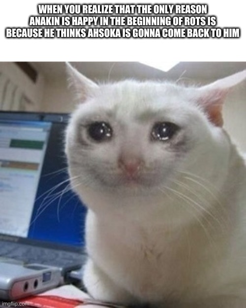 Crying cat | WHEN YOU REALIZE THAT THE ONLY REASON ANAKIN IS HAPPY IN THE BEGINNING OF ROTS IS BECAUSE HE THINKS AHSOKA IS GONNA COME BACK TO HIM | image tagged in crying cat | made w/ Imgflip meme maker
