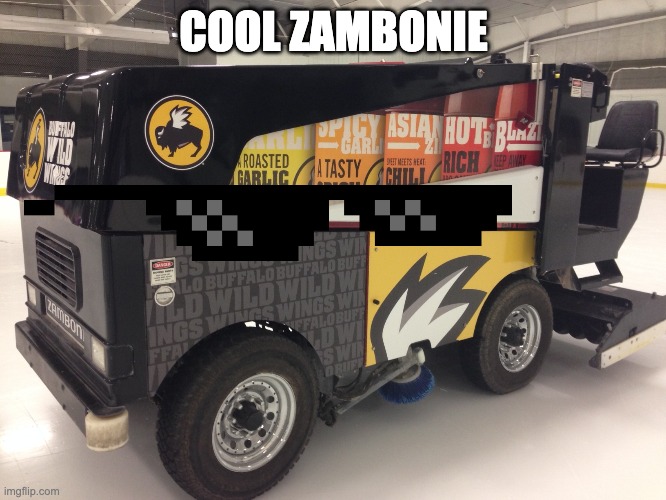 Cool Zambonie | COOL ZAMBONIE | image tagged in cool | made w/ Imgflip meme maker