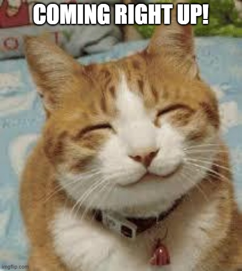Happy cat | COMING RIGHT UP! | image tagged in happy cat | made w/ Imgflip meme maker