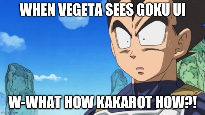 When Vegeta sees ui goku | WHEN VEGETA SEES GOKU UI; W-WHAT HOW KAKAROT HOW?! | image tagged in memes,surprized vegeta | made w/ Imgflip meme maker