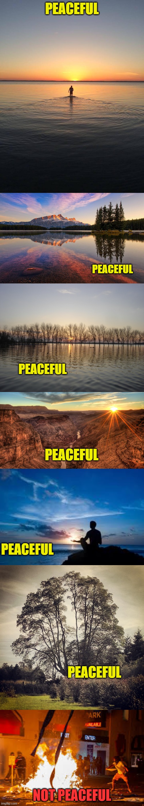 One of these things is not like the other. When did shouting and destruction become peaceful? | PEACEFUL; PEACEFUL; PEACEFUL; PEACEFUL; PEACEFUL; PEACEFUL; NOT PEACEFUL | image tagged in tree quote inspirational,peace on water,serenity,the grand canyon,inspirational man,serene | made w/ Imgflip meme maker