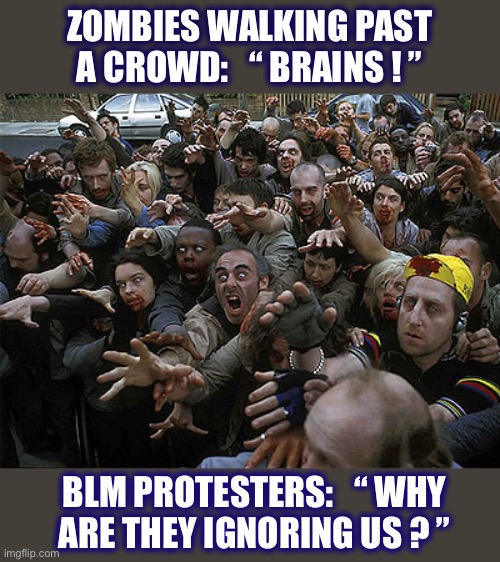 No brains to eat | ZOMBIES WALKING PAST A CROWD:   “ BRAINS ! ”; BLM PROTESTERS:   “ WHY
ARE THEY IGNORING US ? ” | image tagged in zombies,protesters,brains,crowd,memes,politics | made w/ Imgflip meme maker
