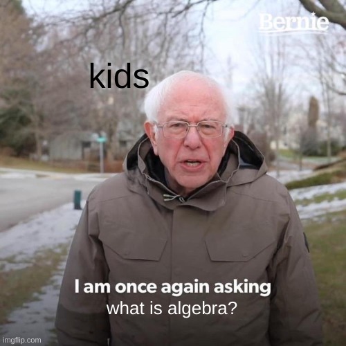 Bernie I Am Once Again Asking For Your Support Meme | kids what is algebra? | image tagged in memes,bernie i am once again asking for your support | made w/ Imgflip meme maker