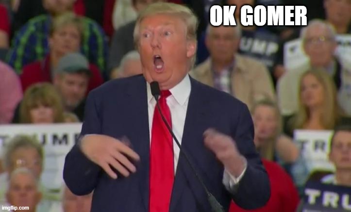 Donald Trump Mocking Disabled | OK GOMER | image tagged in donald trump mocking disabled | made w/ Imgflip meme maker