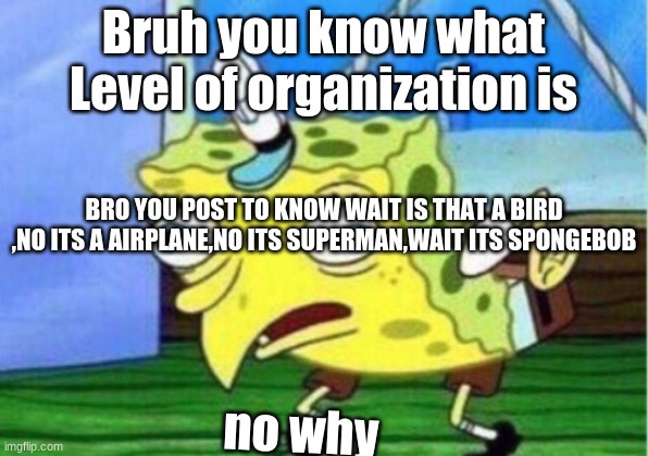 Mocking Spongebob Meme | Bruh you know what Level of organization is; BRO YOU POST TO KNOW WAIT IS THAT A BIRD ,NO ITS A AIRPLANE,NO ITS SUPERMAN,WAIT ITS SPONGEBOB; no why | image tagged in memes,mocking spongebob | made w/ Imgflip meme maker