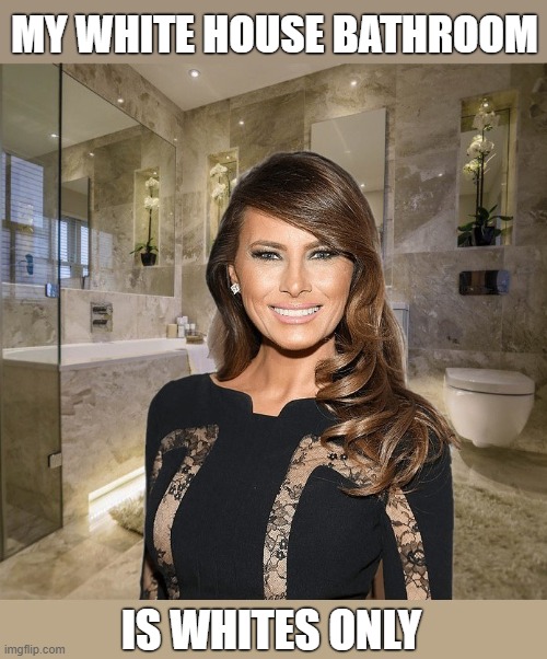 Melania Trump demanded the toilets used by the Obamas be ripped out and replaced before she moved into the White House | MY WHITE HOUSE BATHROOM; IS WHITES ONLY | image tagged in melania trump,white house,toilet,obama,that's racist,segregation | made w/ Imgflip meme maker