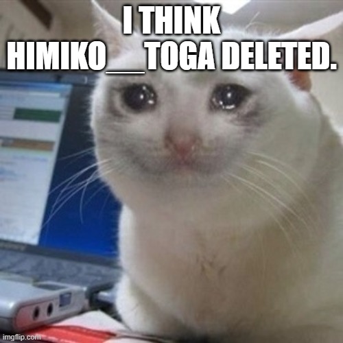 Crying cat | I THINK HIMIKO__TOGA DELETED. | image tagged in crying cat | made w/ Imgflip meme maker