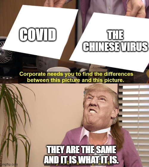 They are the same picture | THE CHINESE VIRUS; COVID; THEY ARE THE SAME AND IT IS WHAT IT IS. | image tagged in they are the same picture | made w/ Imgflip meme maker