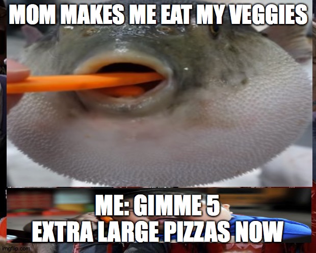 NO VEGGIES | MOM MAKES ME EAT MY VEGGIES; ME: GIMME 5 EXTRA LARGE PIZZAS NOW | image tagged in pufferfish,fat boy | made w/ Imgflip meme maker