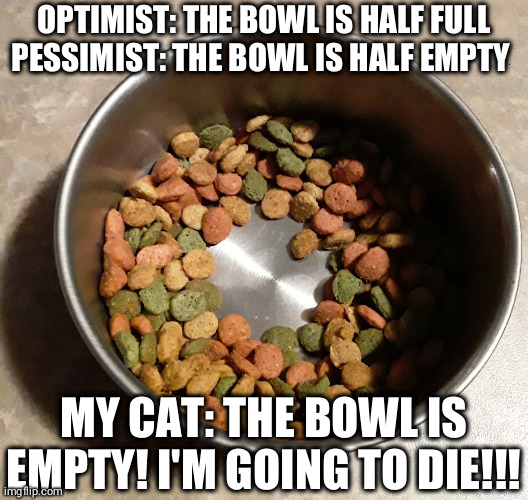 cats are stupid | OPTIMIST: THE BOWL IS HALF FULL
PESSIMIST: THE BOWL IS HALF EMPTY; MY CAT: THE BOWL IS EMPTY! I'M GOING TO DIE!!! | image tagged in cat food half full | made w/ Imgflip meme maker