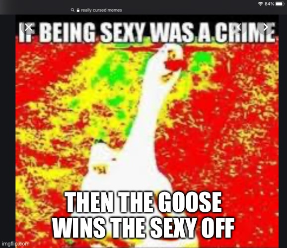 Walking Goose | THEN THE GOOSE WINS THE SEXY OFF | image tagged in walking goose | made w/ Imgflip meme maker