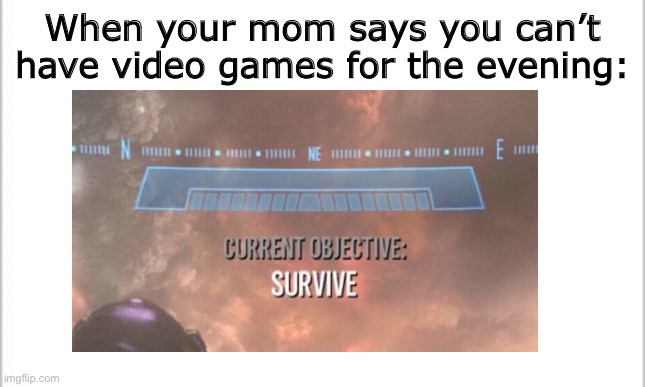 The meme of the day | When your mom says you can’t have video games for the evening: | image tagged in memes,current objective survive,video games | made w/ Imgflip meme maker