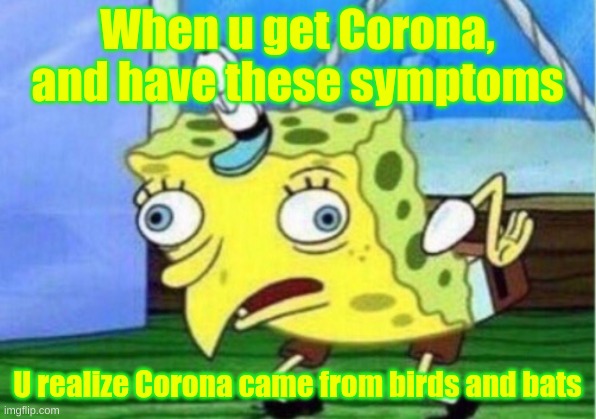 When Corona Kicks in | When u get Corona, and have these symptoms; U realize Corona came from birds and bats | image tagged in memes,mocking spongebob | made w/ Imgflip meme maker