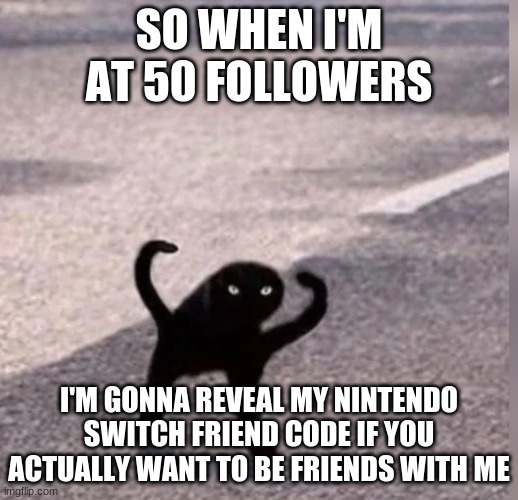 If someone actually wants to be friends with me somewhere other than imgflip | SO WHEN I'M AT 50 FOLLOWERS; I'M GONNA REVEAL MY NINTENDO SWITCH FRIEND CODE IF YOU ACTUALLY WANT TO BE FRIENDS WITH ME | image tagged in cursed cat | made w/ Imgflip meme maker