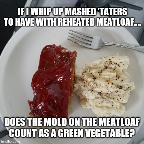 Well balanced? | IF I WHIP UP MASHED 'TATERS TO HAVE WITH REHEATED MEATLOAF.... DOES THE MOLD ON THE MEATLOAF COUNT AS A GREEN VEGETABLE? | image tagged in original,original memes,food memes,sick humor,memes,stupid memes | made w/ Imgflip meme maker
