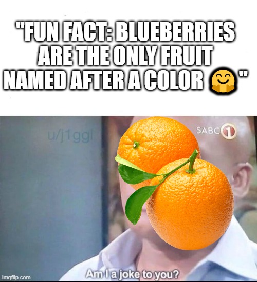 am I a joke to you | "FUN FACT: BLUEBERRIES ARE THE ONLY FRUIT NAMED AFTER A COLOR 🤗" | image tagged in am i a joke to you | made w/ Imgflip meme maker