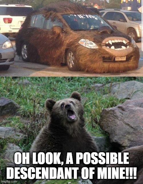 OH LOOK, A POSSIBLE DESCENDANT OF MINE!!! | image tagged in sarcastic bear,memes,funny,cars,stupid,evolution | made w/ Imgflip meme maker