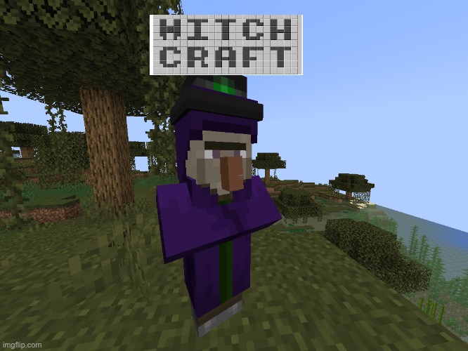 Pun | image tagged in memes,minecraft | made w/ Imgflip meme maker