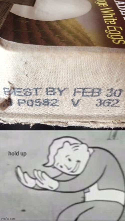Hold up: Best by February 30, hmmmmmmmm | image tagged in fallout hold up,you had one job,february,funny,memes,eggs | made w/ Imgflip meme maker
