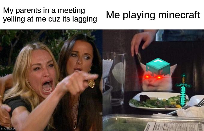 Woman Yelling At Cat | My parents in a meeting yelling at me cuz its lagging; Me playing minecraft | image tagged in memes,woman yelling at cat | made w/ Imgflip meme maker