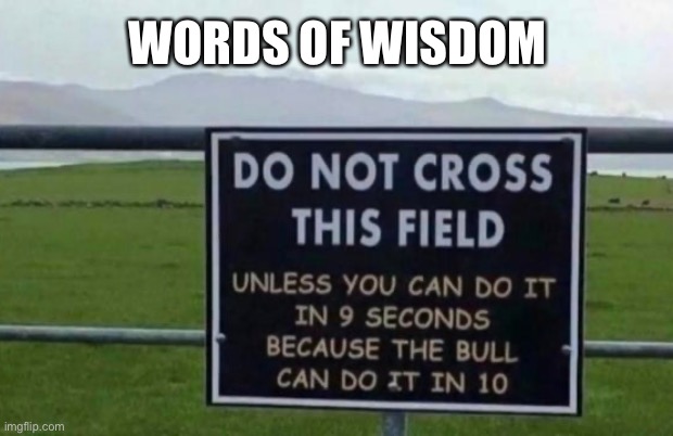 Words of Wisdom | WORDS OF WISDOM | image tagged in funny memes,words of wisdom | made w/ Imgflip meme maker