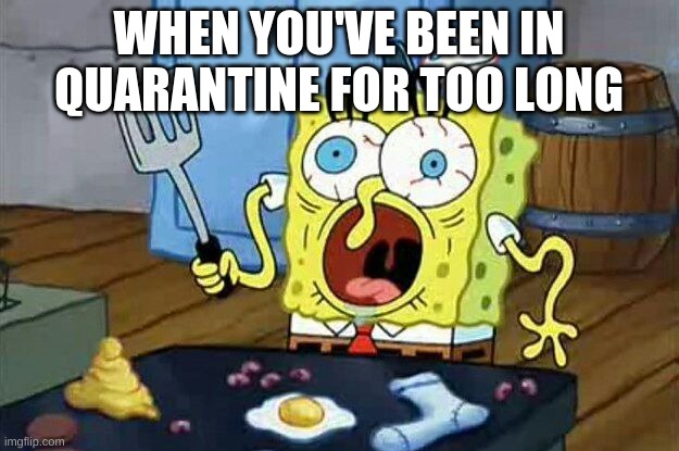 WHEN YOU'VE BEEN IN QUARANTINE FOR TOO LONG | made w/ Imgflip meme maker