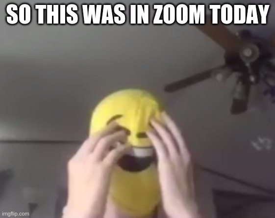 uhhhm | SO THIS WAS IN ZOOM TODAY | image tagged in laughing emoji,zoom | made w/ Imgflip meme maker
