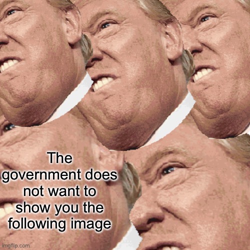 The government does not want to show you the following image | image tagged in donald trump | made w/ Imgflip meme maker