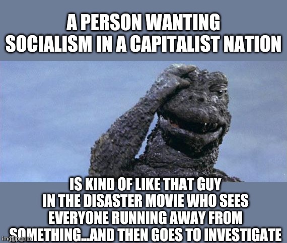 godzilla facepalm | A PERSON WANTING SOCIALISM IN A CAPITALIST NATION; IS KIND OF LIKE THAT GUY IN THE DISASTER MOVIE WHO SEES EVERYONE RUNNING AWAY FROM SOMETHING...AND THEN GOES TO INVESTIGATE | image tagged in godzilla facepalm | made w/ Imgflip meme maker