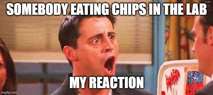 Joey freakout | SOMEBODY EATING CHIPS IN THE LAB; MY REACTION | image tagged in joey freakout | made w/ Imgflip meme maker