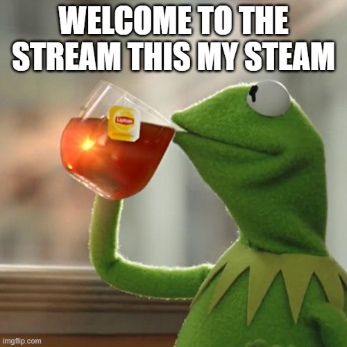 welcome to fat _mother stream | WELCOME TO THE STREAM THIS MY STEAM | image tagged in memes,but that's none of my business,kermit the frog | made w/ Imgflip meme maker