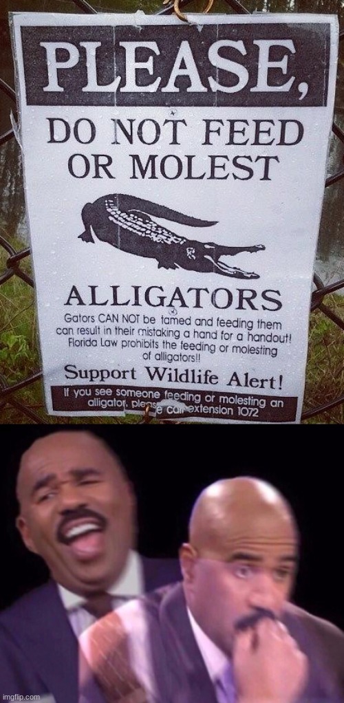 they found out | image tagged in steve harvey laughing serious,alligator | made w/ Imgflip meme maker