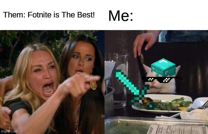 Woman Yelling At Cat Meme | Them: Fotnite is The Best! Me: | image tagged in memes,woman yelling at cat | made w/ Imgflip meme maker