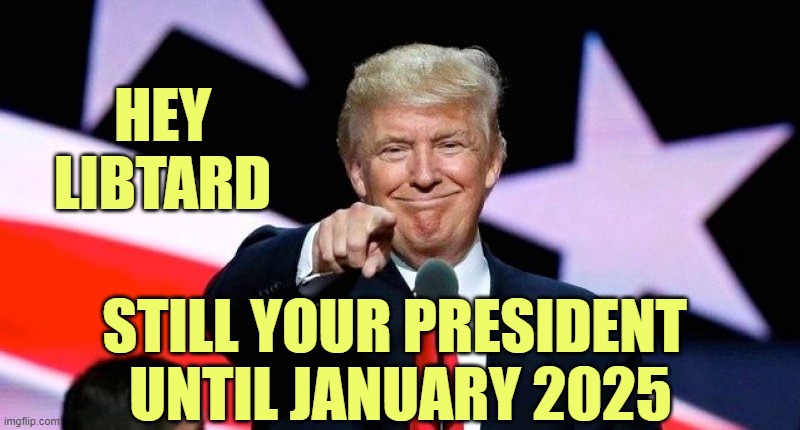 Donald Trump pointing at you. | HEY
LIBTARD STILL YOUR PRESIDENT 
UNTIL JANUARY 2025 | image tagged in donald trump pointing at you | made w/ Imgflip meme maker