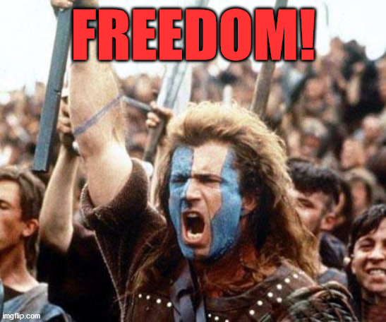 braveheart freedom | FREEDOM! | image tagged in braveheart freedom | made w/ Imgflip meme maker