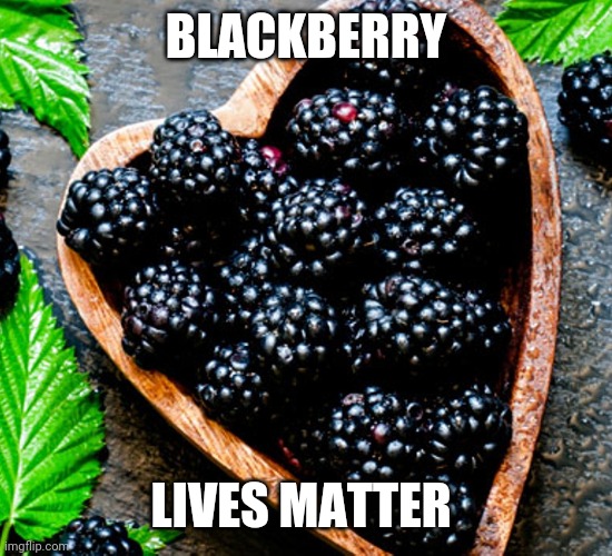 BLACKBERRY LIVES MATTER | made w/ Imgflip meme maker