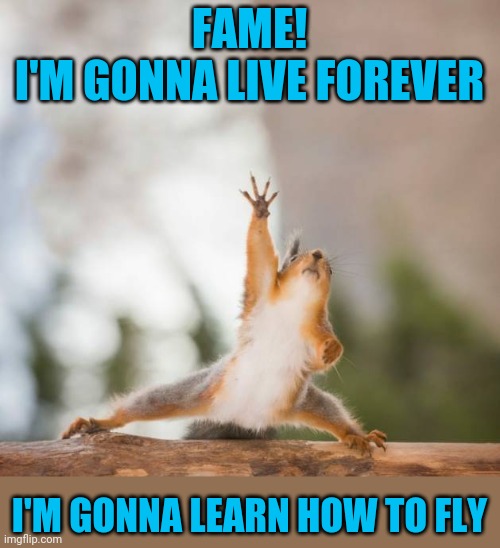 Everybody's got a dream | FAME!
I'M GONNA LIVE FOREVER; I'M GONNA LEARN HOW TO FLY | image tagged in fame,squirrel | made w/ Imgflip meme maker