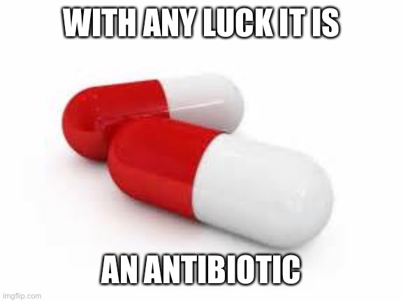 Antibiotics | WITH ANY LUCK IT IS AN ANTIBIOTIC | image tagged in antibiotics | made w/ Imgflip meme maker