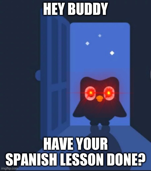 Duolingo Disrupts You | HEY BUDDY; HAVE YOUR SPANISH LESSON DONE? | image tagged in duolingo bird | made w/ Imgflip meme maker