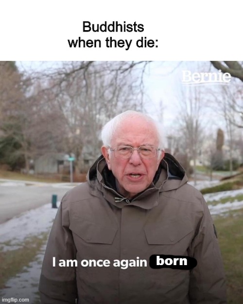 Its true. | Buddhists when they die:; born | image tagged in memes,bernie i am once again asking for your support | made w/ Imgflip meme maker