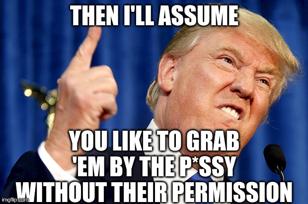 Donald Trump | THEN I'LL ASSUME YOU LIKE TO GRAB 'EM BY THE P*SSY WITHOUT THEIR PERMISSION | image tagged in donald trump | made w/ Imgflip meme maker